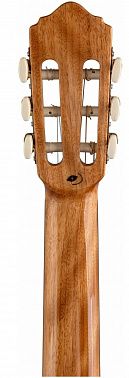 Гитарный набор FLIGHT C-120 NAT PACK