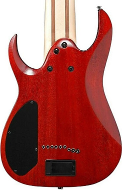 Электрогитара IBANEZ RGIR9FME-FDF