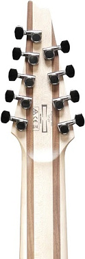 Электрогитара IBANEZ RGIR9FME-FDF