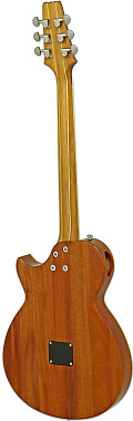 Электроакустика ARIA APE-100 N