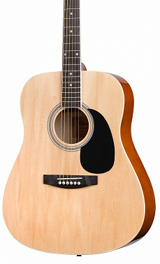 Акустическая гитара HOMAGE LF-4100-N