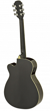 Электроакустика ARIA AFN-15CE BK