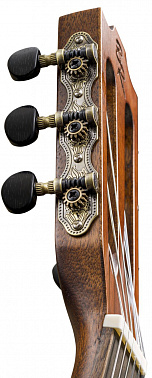 Электроакустика BATON ROUGE CR21C/ACE