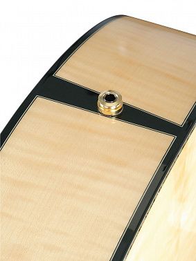 Электроакустика Cort Gold-Passion-WCASE-NAT