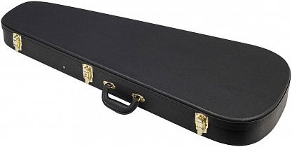 Кейс для электрогитары PROEL CWCEGT