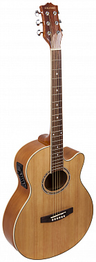 ЭЛЕКТРОАКУСТИКА COLOMBO LF-401CEQ /N