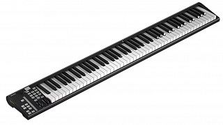 MIDI клавиатура Icon Artist 88X