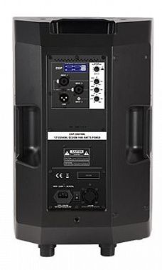 Акустическая система Soundking FPE12AD