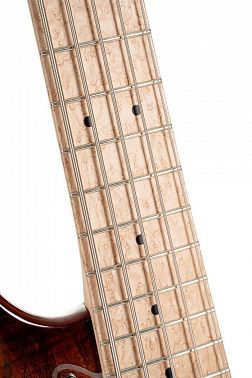 Бас-гитара Cort GB-Fusion-5-ABB-wbag