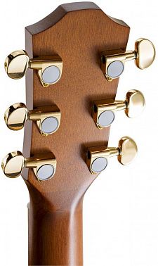 Электроакустика BATON ROUGE TLM/ACEC Flamed Maple