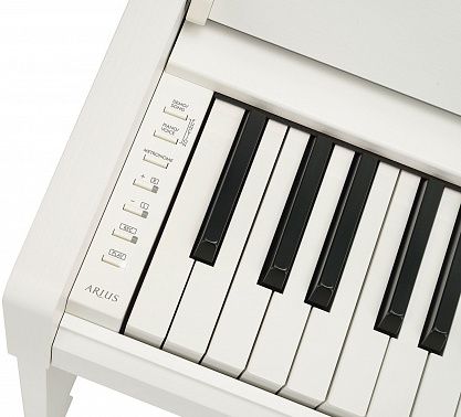 Цифровое пианино YAMAHA YDP-S35WH Arius