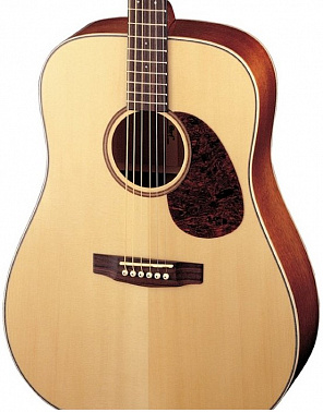 АКУСТИЧЕСКАЯ ГИТАРА CORT EARTH100-NS