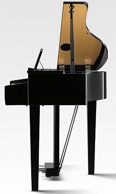 Цифровой рояль KAWAI DG30 EP