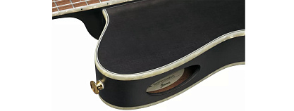 Электроакустическая гитара IBANEZ TOD10N-TKF