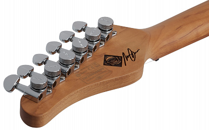 Schecter Nick Johnston Trad H/S/S A.OR