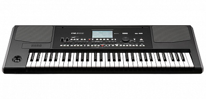 РАБОЧАЯ СТАНЦИЯ KORG PA300