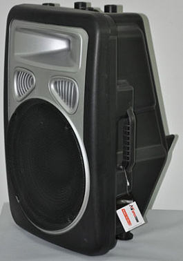 АКУСТИЧЕСКАЯ СИСТЕМА FORCE P-154