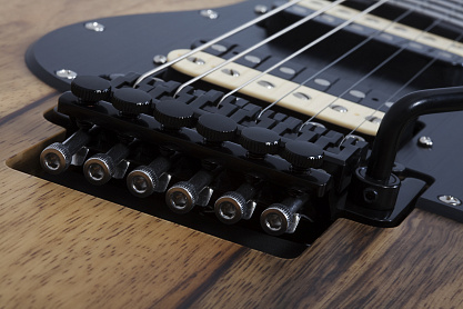 SCHECTER SUN VALLEY SUPER SHREDDER EXOTIC BLACK LIMBA