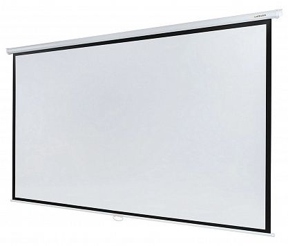 Экран Lumien Eco Picture LEP-100118