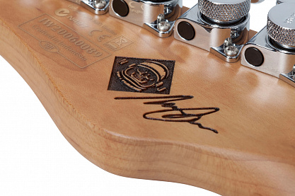 Schecter Nick Johnston Trad H/S/S A.OR