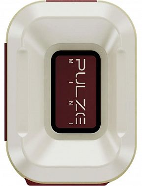 Комбоусилитель Hotone Pulze Mini