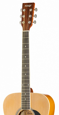 Акустическая гитара HOMAGE LF-4110-N