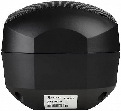 Настенная акустическая система INTREND ITSPK-MSK4-B