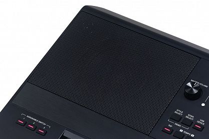 Синтезатор MEDELI AKX10S