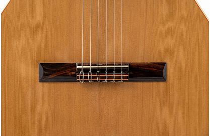 Классическая гитара Altamira N100+