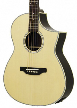 Электроакустика ARIA MSG-02CE N