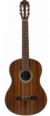 Классическая гитара FLIGHT C-110 TEAK 4/4