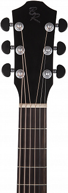 Электроакустика BATON ROUGE AR21C/GACE-SB