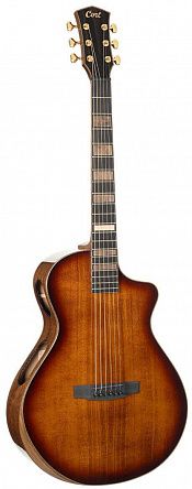 Электроакустика Cort Modern-Burst-WCASE-TSB