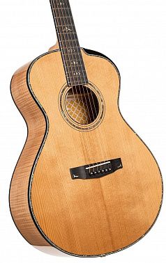 Электроакустика Cort Gold-Passion-WCASE-NAT