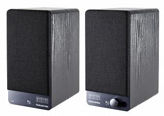 Акустическая система Radiotehnika S-20NA Black Ash