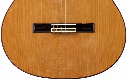 Классическая гитара Altamira N300+