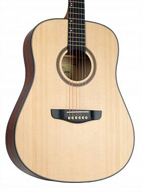 Акустическая гитара Omni D-120 NT