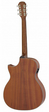 Электроакустика ARIA-101CE MTN