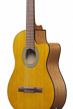 Электроакустика IBANEZ GA3ECE-OAM