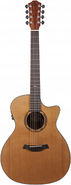 Электроакустика BATON ROUGE AR11C/GACE plus 2