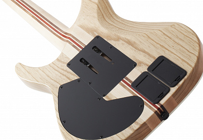 Электрогитара SCHECTER C-1 FR-S SLS ELITE ANQFB