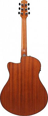 Электроакустика IBANEZ AAM50CE-CRO