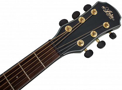 АКУСТИЧЕСКАЯ ГИТАРА ARIA TG-1 SGR