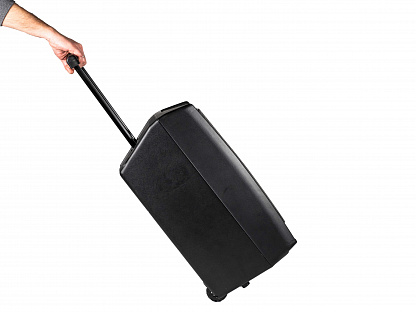 Акустическая система PROEL V12WAVE