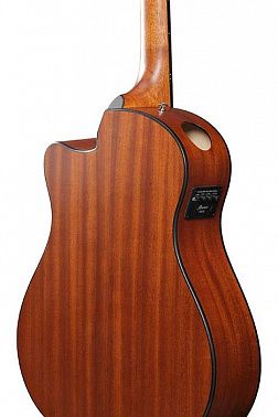 Электроакустика IBANEZ AAM50CE-CRO