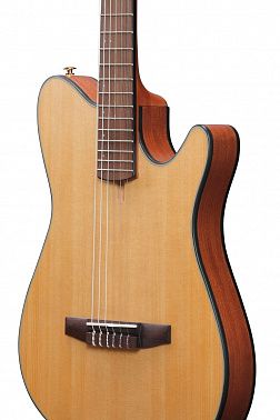 Электроакустика IBANEZ FRH10N-NTF