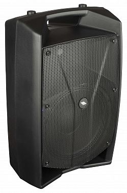 Акустическая система PROEL V12PRO