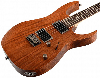 ЭЛЕКТРОГИТАРА IBANEZ RG421 MOL