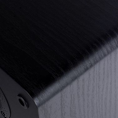 Акустическая система Radiotehnika S-10NA Black Ash