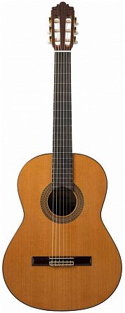 Классическая гитара Altamira N400+Case